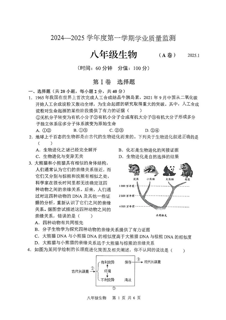 山东省枣庄市山亭区2024-2025学年八年级上学期期末检测生物试卷第1页