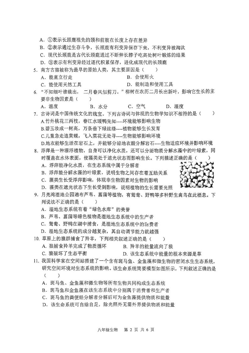 山东省枣庄市山亭区2024-2025学年八年级上学期期末检测生物试卷第2页