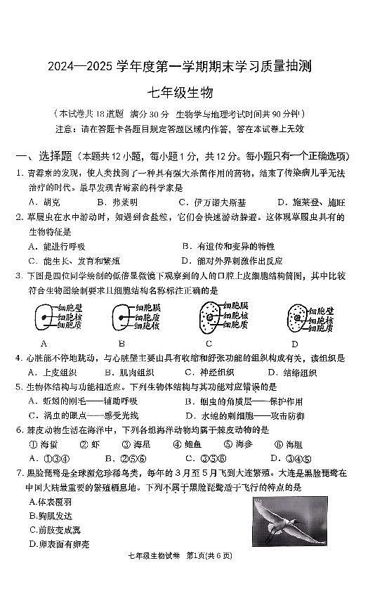 辽宁省大连市甘井子区2024-2025学年第一学期七年级生物期末试卷（含答案）第1页
