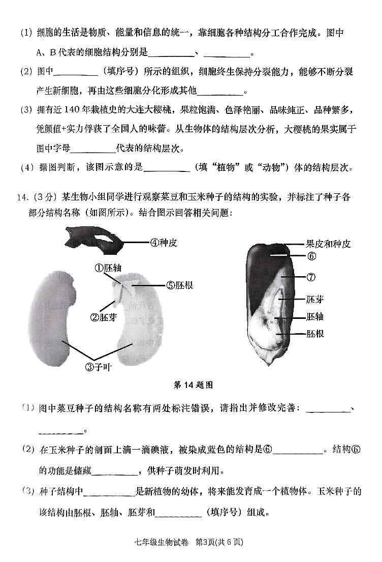 辽宁省大连市甘井子区2024-2025学年第一学期七年级生物期末试卷（含答案）第3页