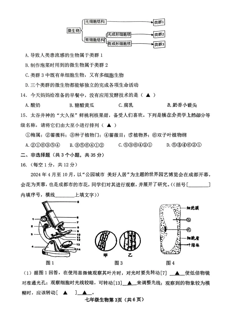 山西省晋中市太谷区2024-2025学年七年级上学期1月期末生物试题第3页
