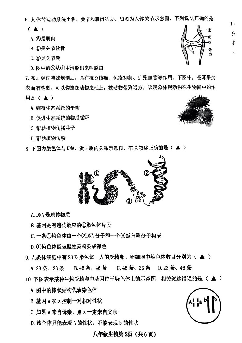 山西省晋中市太谷区2024-2025学年八年级上学期期末质量检测卷生物试卷第2页