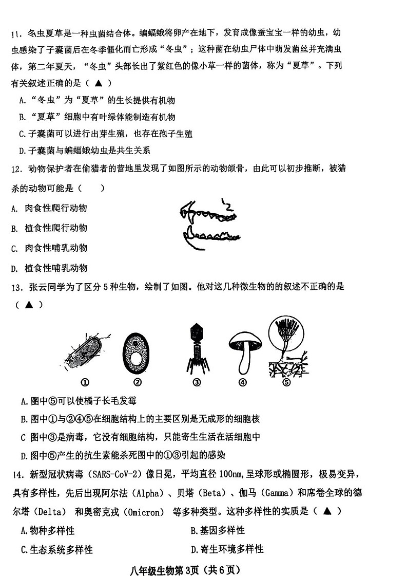 山西省晋中市太谷区2024-2025学年八年级上学期期末质量检测卷生物试卷第3页