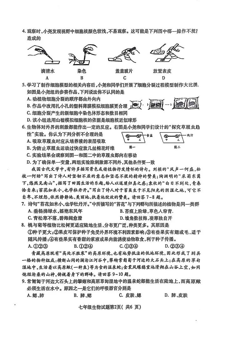 山西省临汾市尧都区2024-2025学年七年级上学期期末考试生物试题第2页
