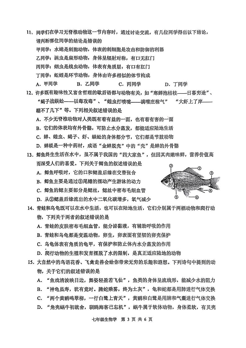 四川省宜宾市2024--2025学年七年级上学期生物期末试卷第3页