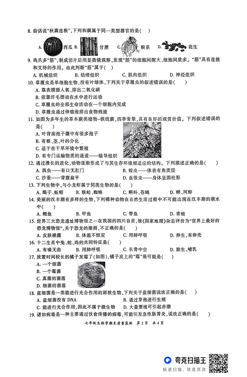 重庆市开州区2024-2025学年七年级上学期期末质量监测生物试题第2页