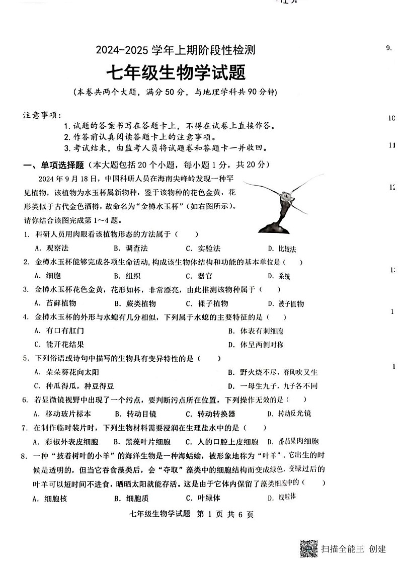 重庆市巴南区2024-2025学年七年级上学期1月期末生物试题第1页