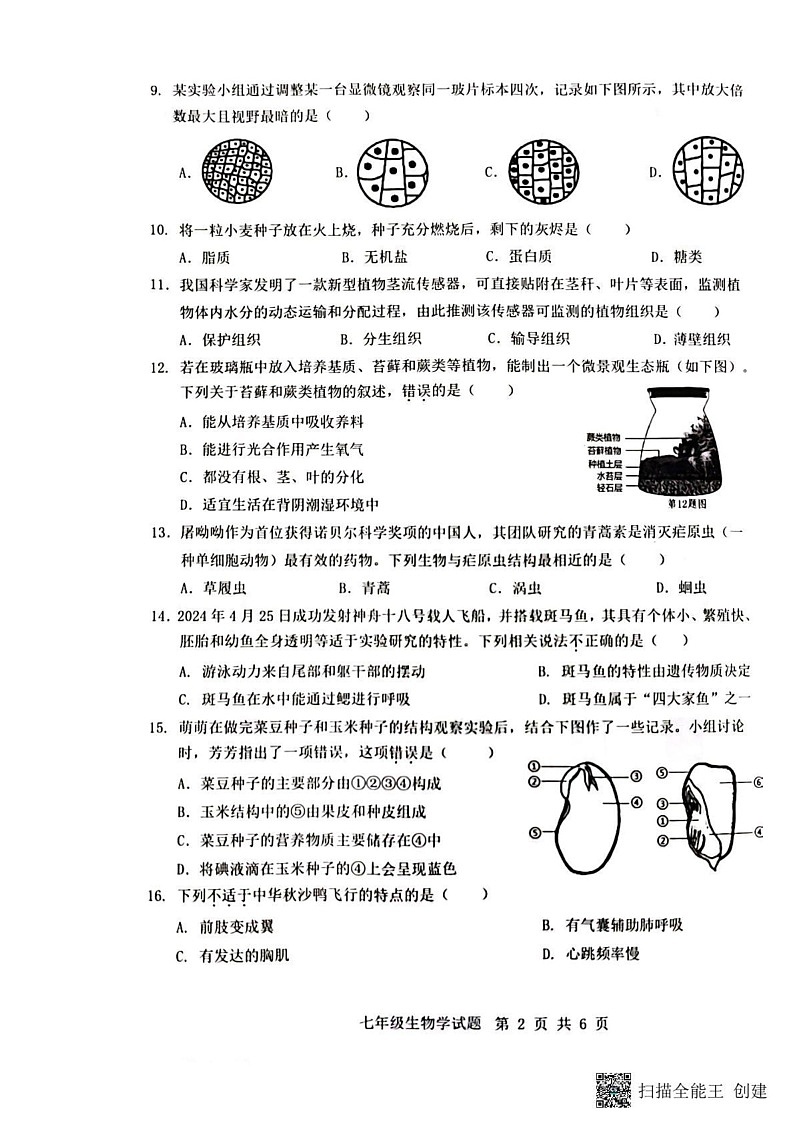 重庆市巴南区2024-2025学年七年级上学期1月期末生物试题第2页