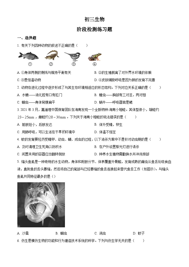 精品解析：山东省烟台市芝罘区2021-2022学年八年级上学期期末生物试题（原卷版）第1页
