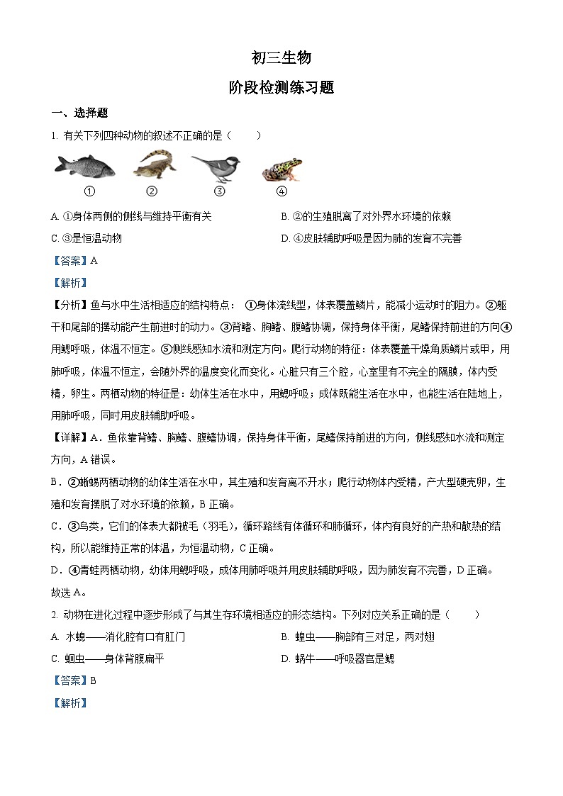 精品解析：山东省烟台市芝罘区2021-2022学年八年级上学期期末生物试题（解析版）第1页