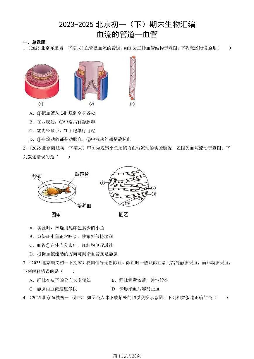 2023-2025北京初一（下）期末生物汇编：血流的管道—血管第1页