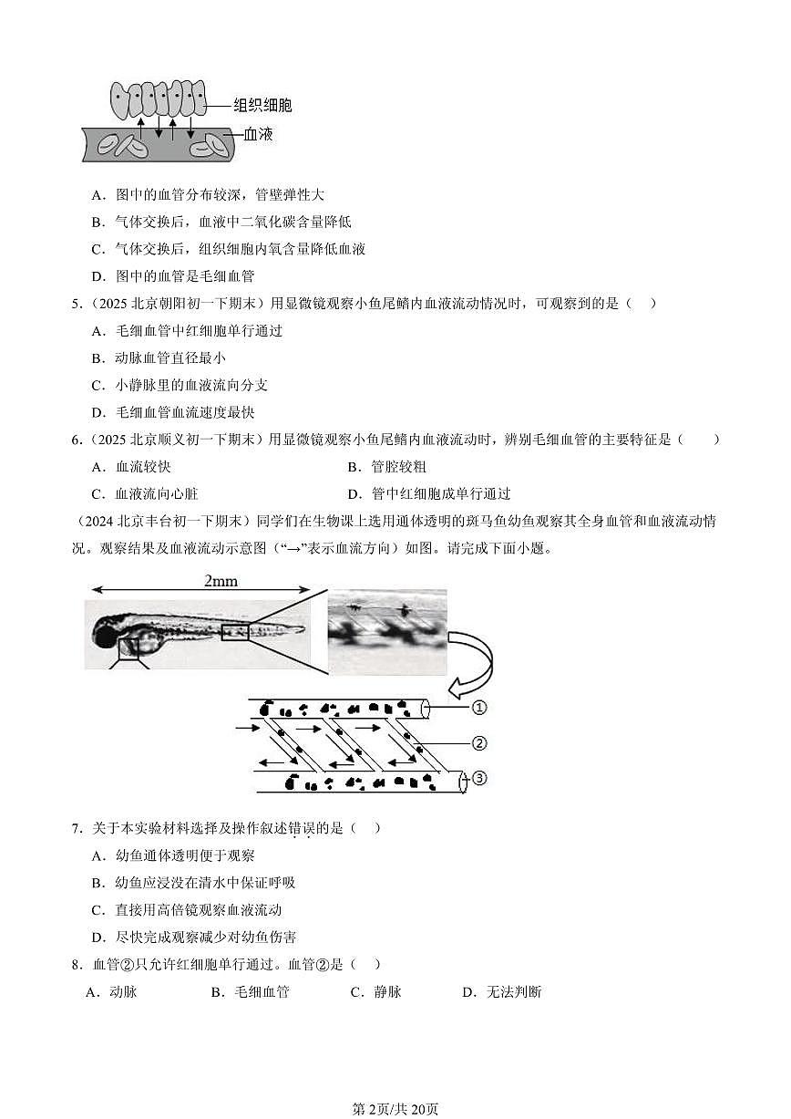 2023-2025北京初一（下）期末生物汇编：血流的管道—血管第2页