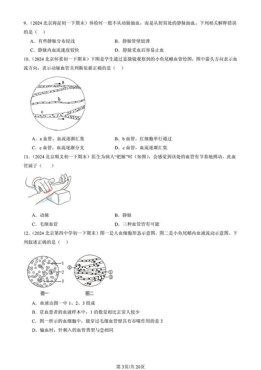 2023-2025北京初一（下）期末生物汇编：血流的管道—血管第3页
