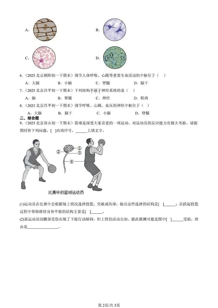 2025北京初一（下）期末生物汇编：神经系统的组成第2页