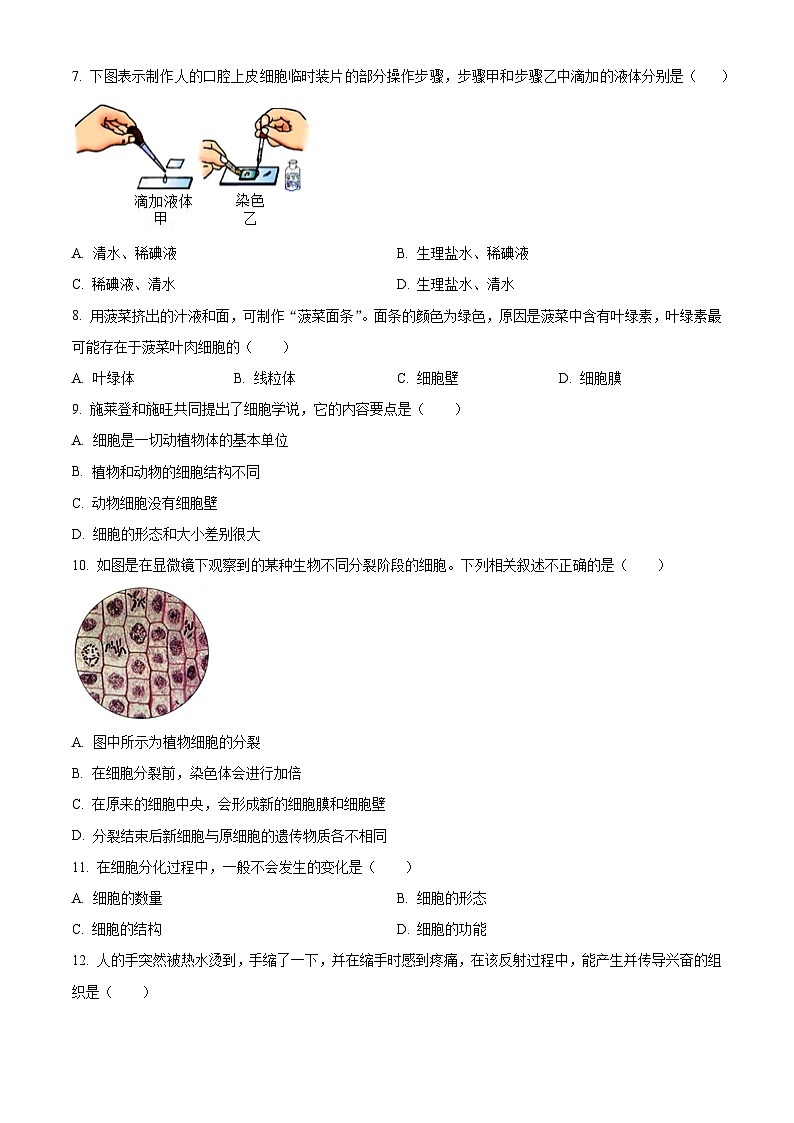 安徽省滁州市第二中学2025-2026学年七年级上学期期中 生物学试题第2页