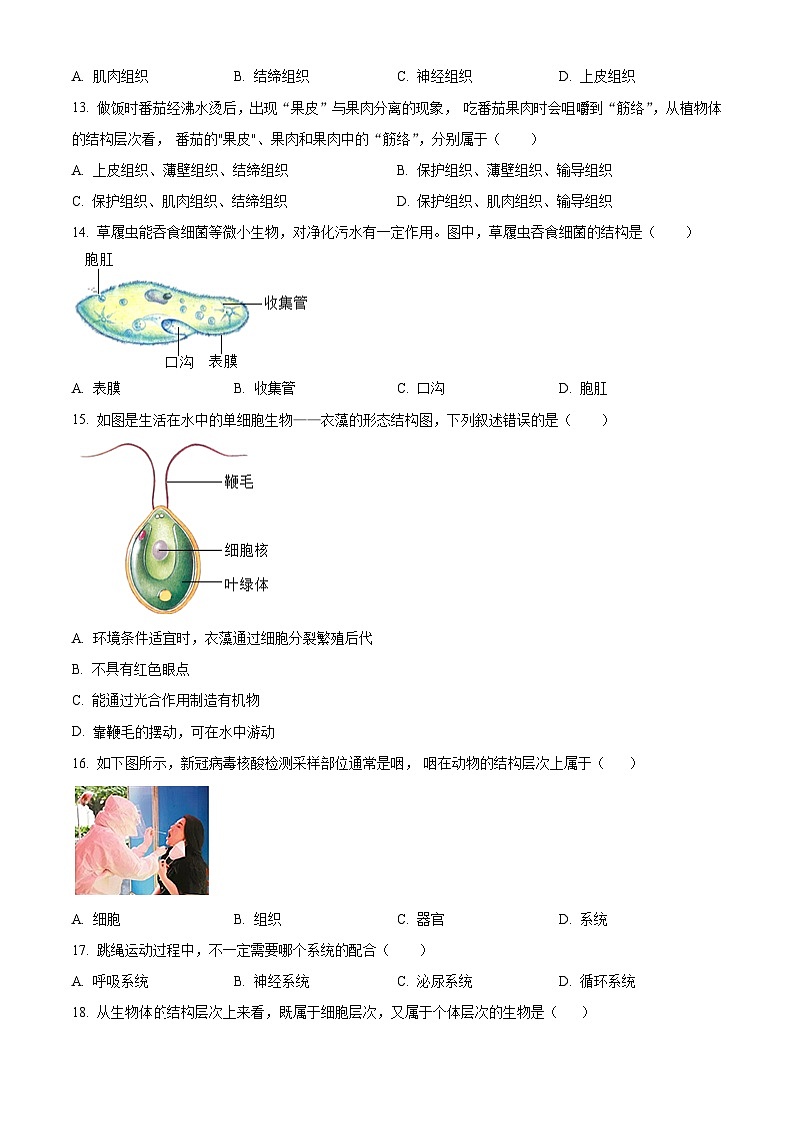 安徽省滁州市第二中学2025-2026学年七年级上学期期中 生物学试题第3页