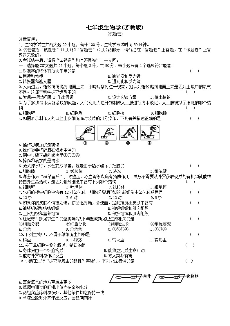 安徽省滁州市琅琊区2025-2026学年七年级上学期期中考试 生物试卷第1页