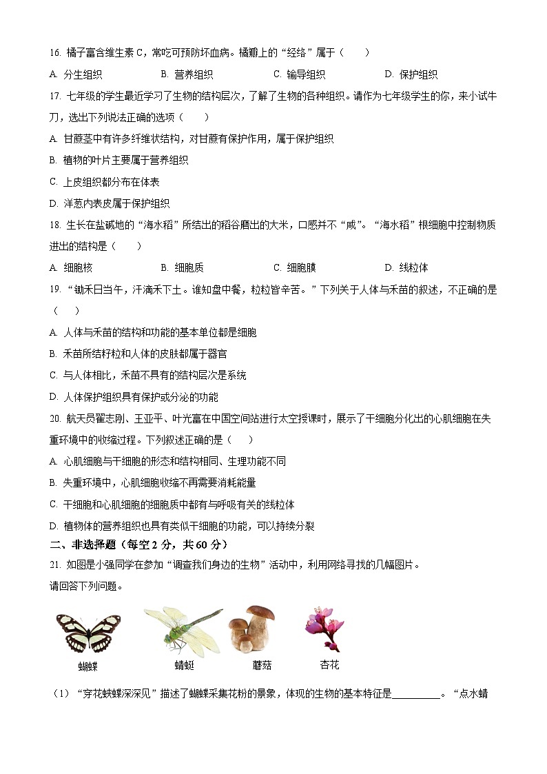安徽省淮南市西部地区2025-2026学年七年级上学期期中 生物试题第3页
