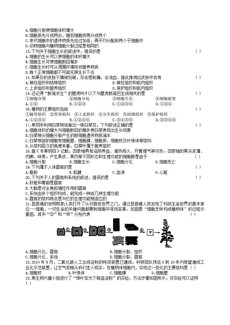 安徽省宿州市部分学校2025-2026学年度七年级上学期期中考试 生物试卷第2页