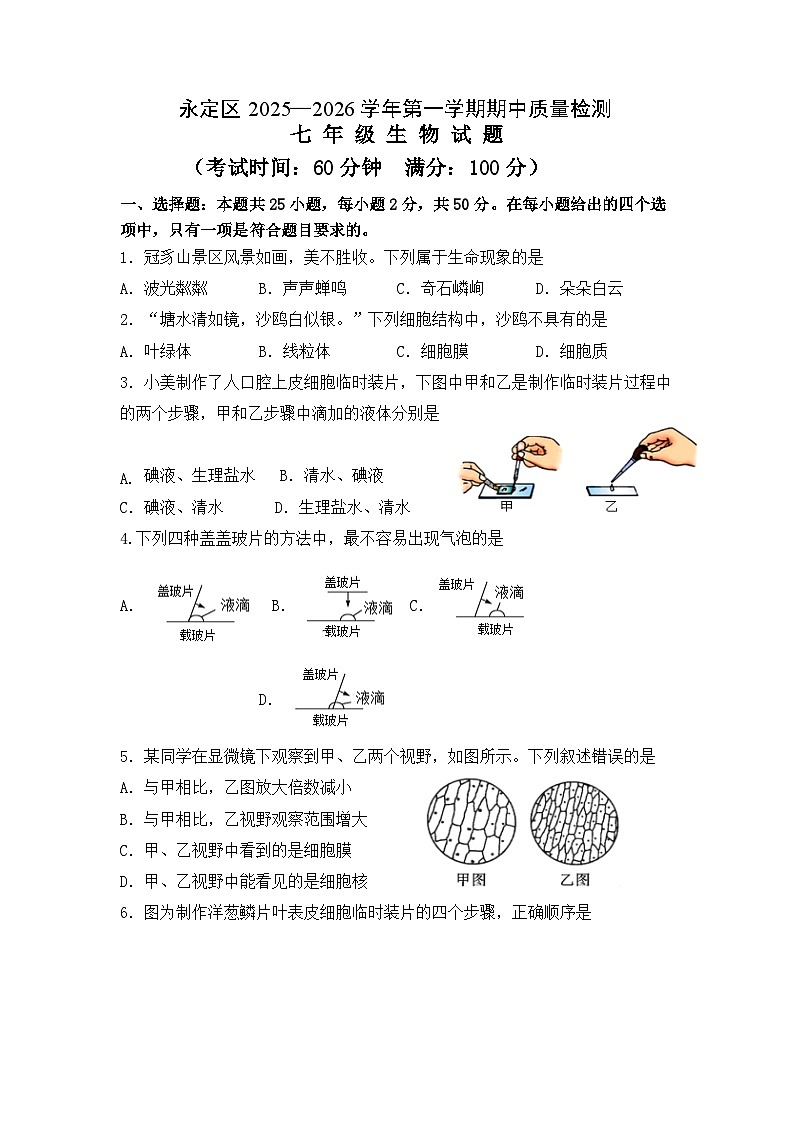 福建省龙岩市永定区2025-2026学年七年级上学期期中考试 生物试题第1页