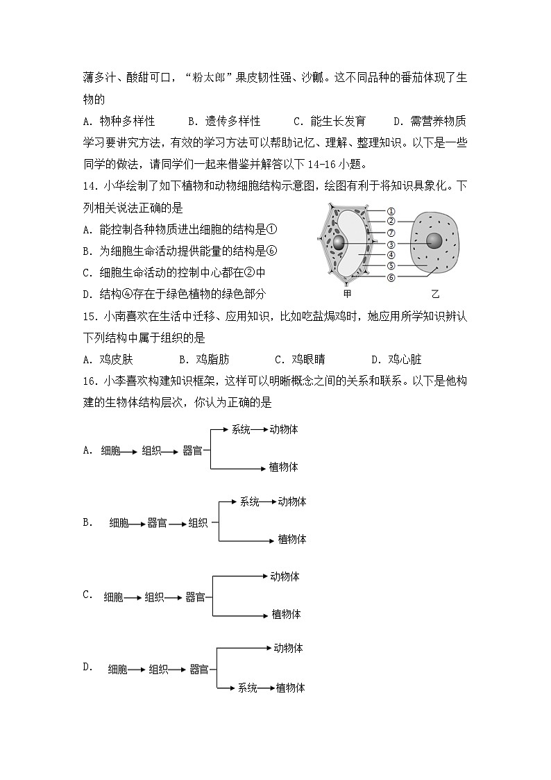 福建省龙岩市永定区2025-2026学年七年级上学期期中考试 生物试题第3页