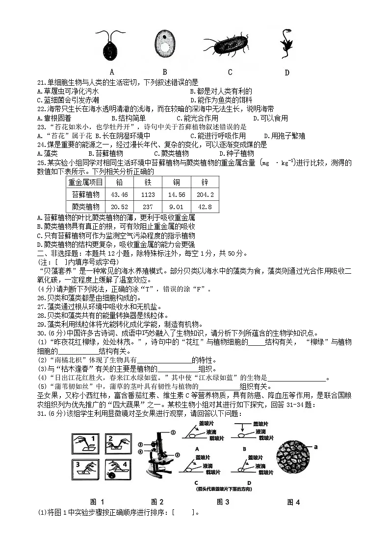 福建省漳州市长泰区2025-2026学年七年级上学期期中考试 生物试卷第3页