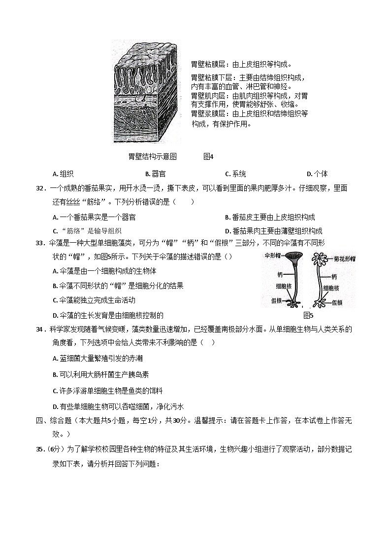 广西南宁市横州市2025-2026学年七年级上学期期中考试 生物试题第3页