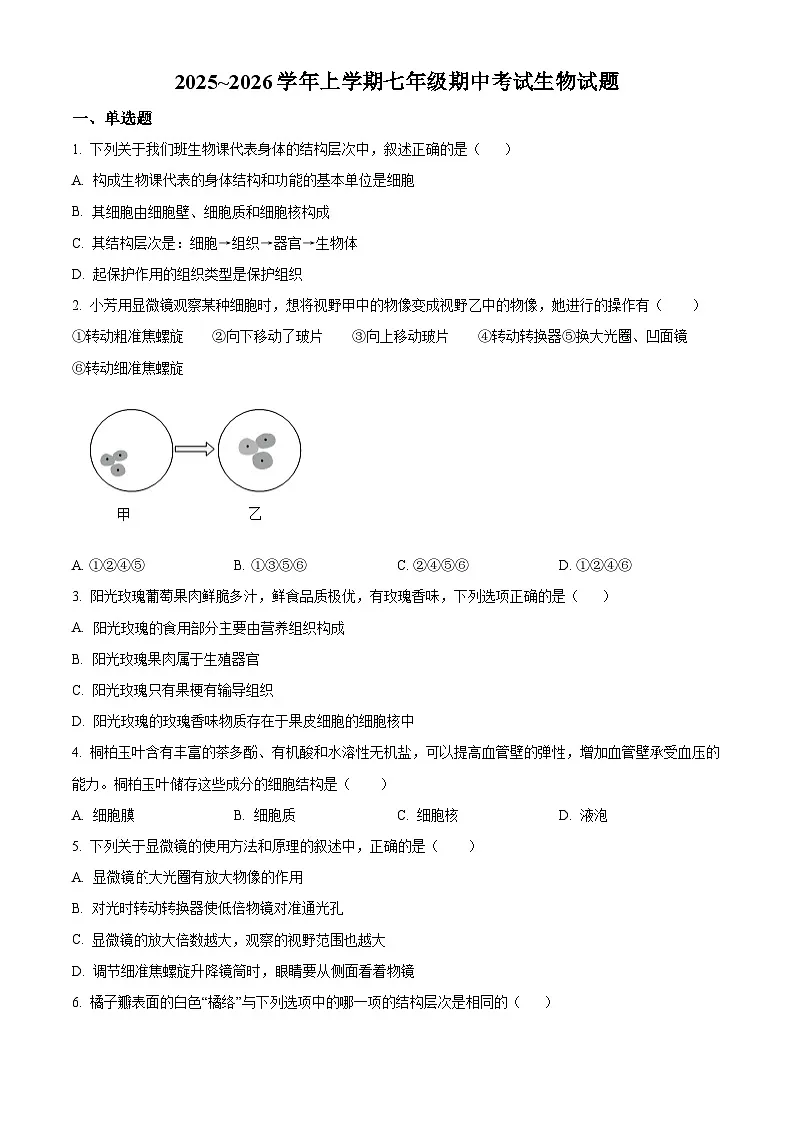 河北省衡水市第三中学2025-2026学年七年级上学期期中 生物学试题第1页