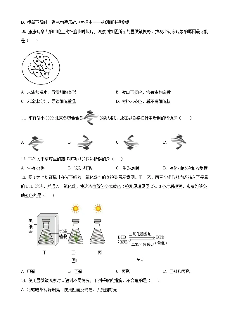 河北省衡水市第三中学2025-2026学年七年级上学期期中 生物学试题第3页