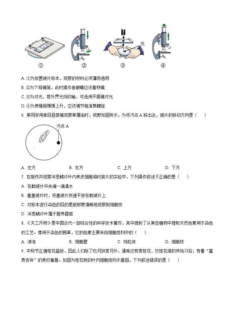 河北省唐山市滦州市2025-2026学年七年级上学期期中 生物学试题第2页