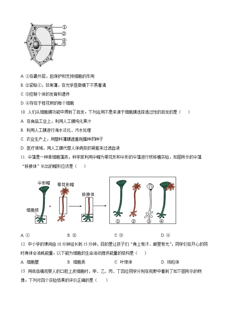 河北省唐山市滦州市2025-2026学年七年级上学期期中 生物学试题第3页