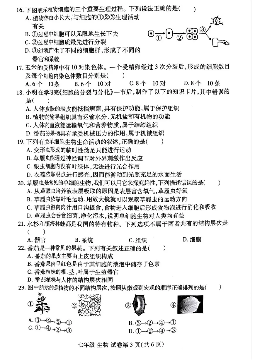 河南省洛阳市瀍河区2025-2026学年七年级上学期期中 生物试卷第3页