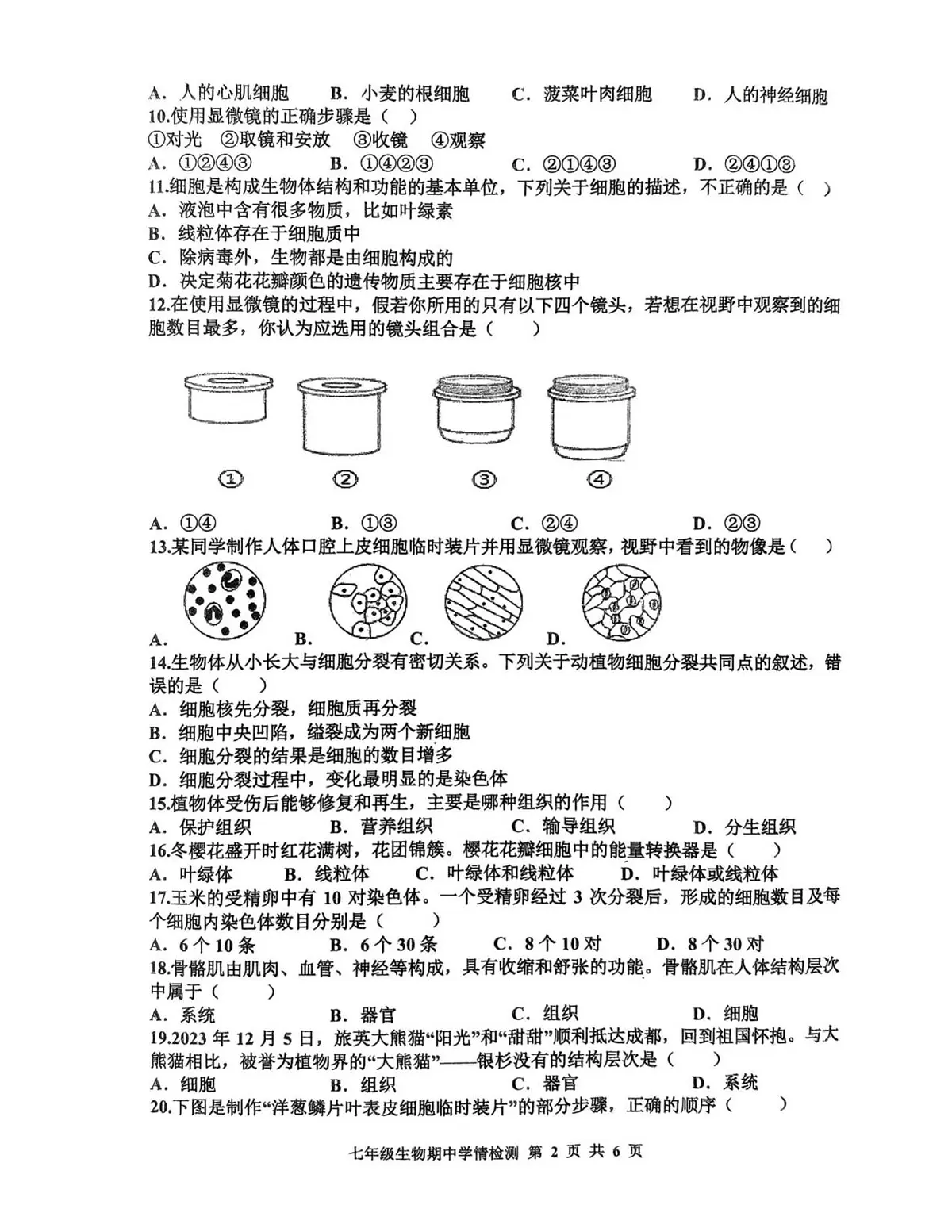河南省三门峡市渑池县2025-2026学年七年级上学期11月期中 生物试题第2页