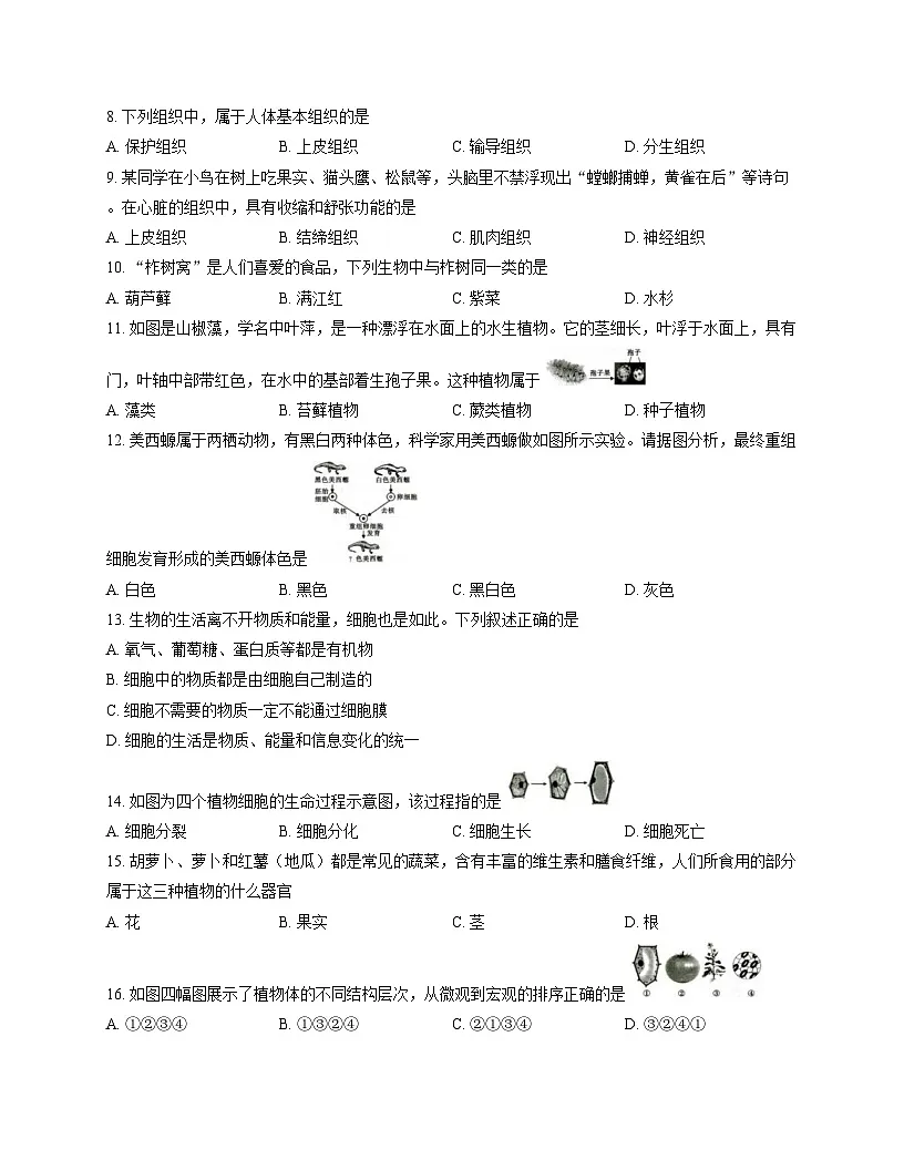 河南省信阳市固始县2025-2026学年七年级上学期11月期中 生物试题第2页