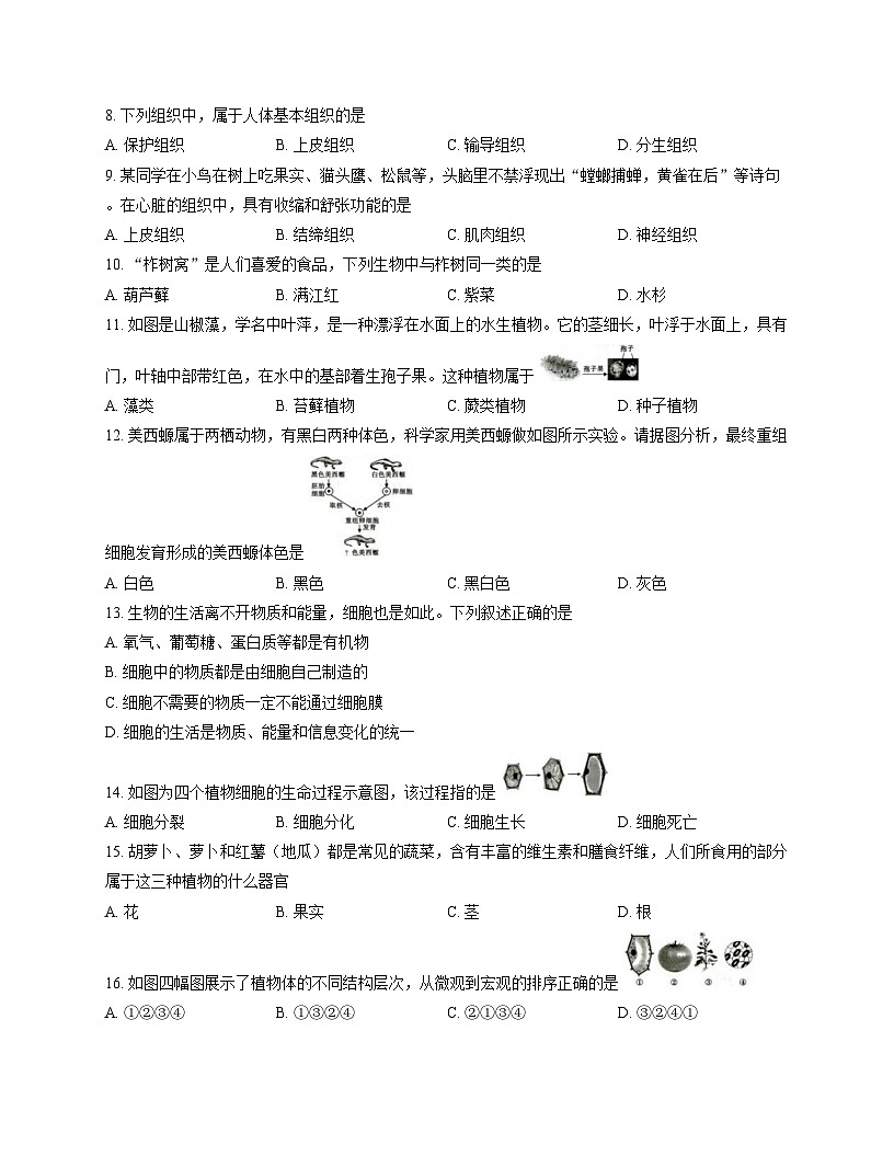 河南省信阳市固始县2025-2026学年七年级上学期11月期中 生物试题第2页