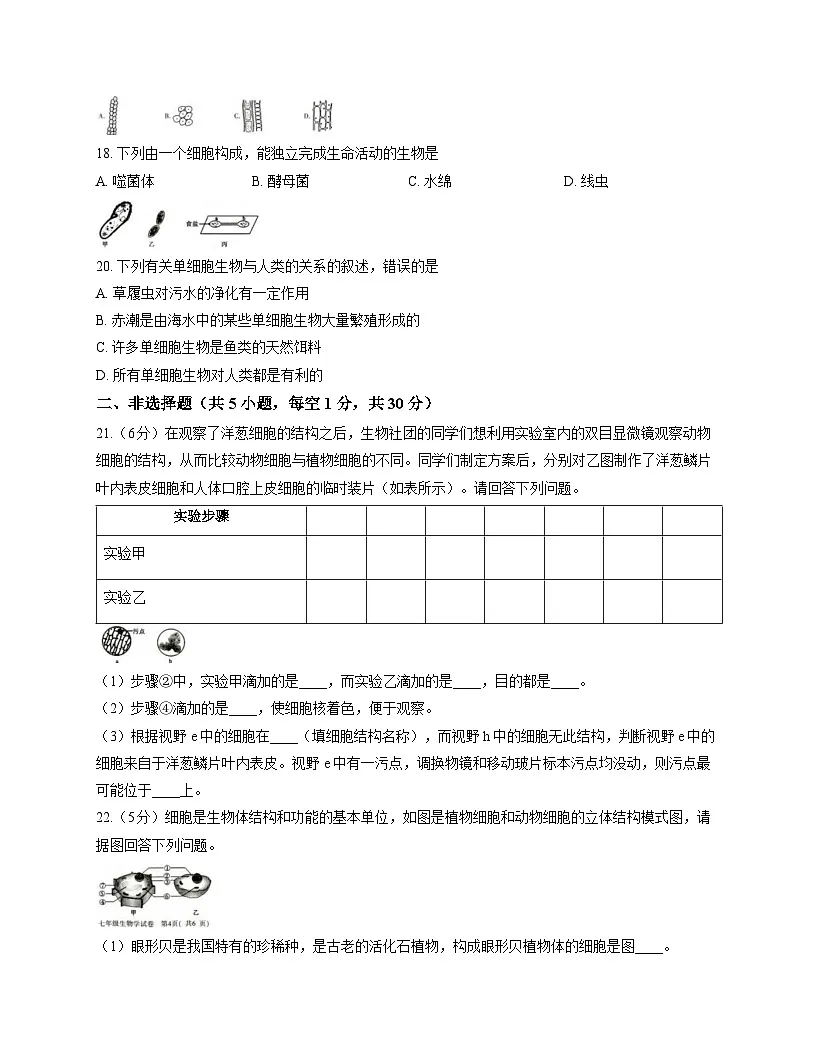 河南省信阳市固始县2025-2026学年七年级上学期11月期中 生物试题第3页