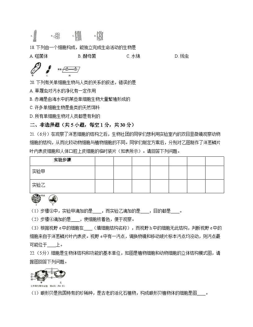 河南省信阳市固始县2025-2026学年七年级上学期11月期中 生物试题第3页