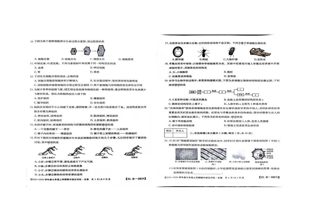 河南省周口市商水县2025-2026学年七年级上学期11月期中考试 生物试题第2页