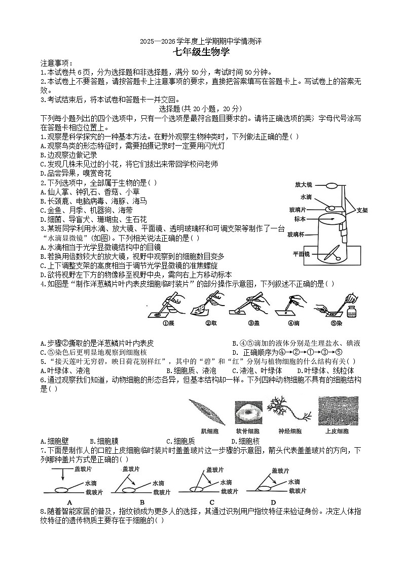 河南省驻马店市平舆县2025-2026学年七年级上学期期中测试 生物试题第1页