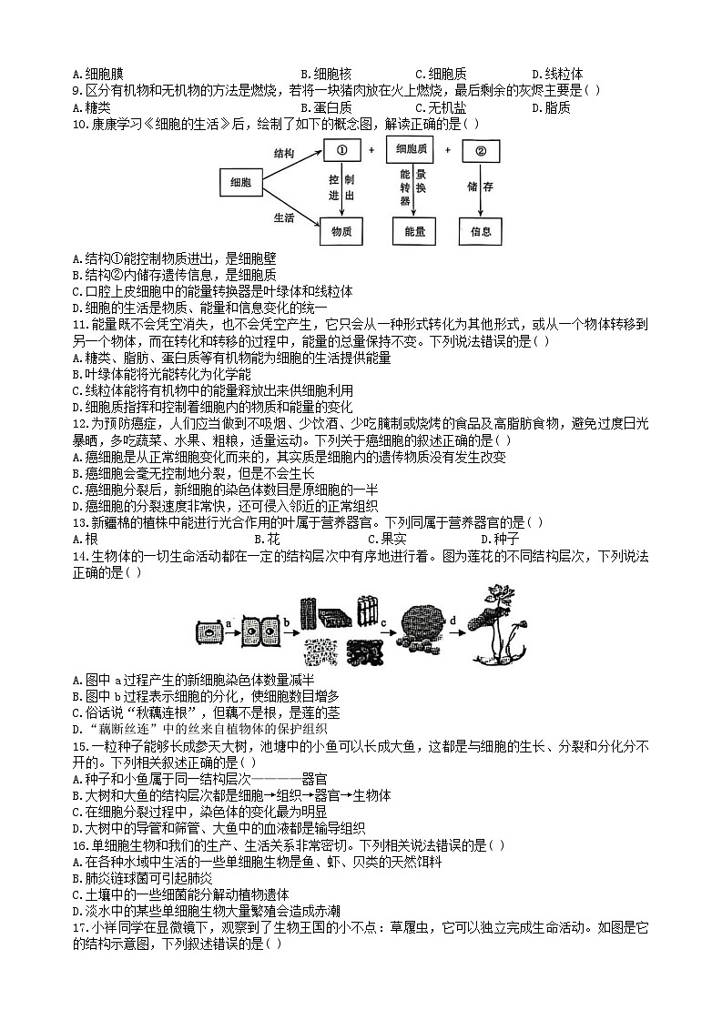 河南省驻马店市平舆县2025-2026学年七年级上学期期中测试 生物试题第2页