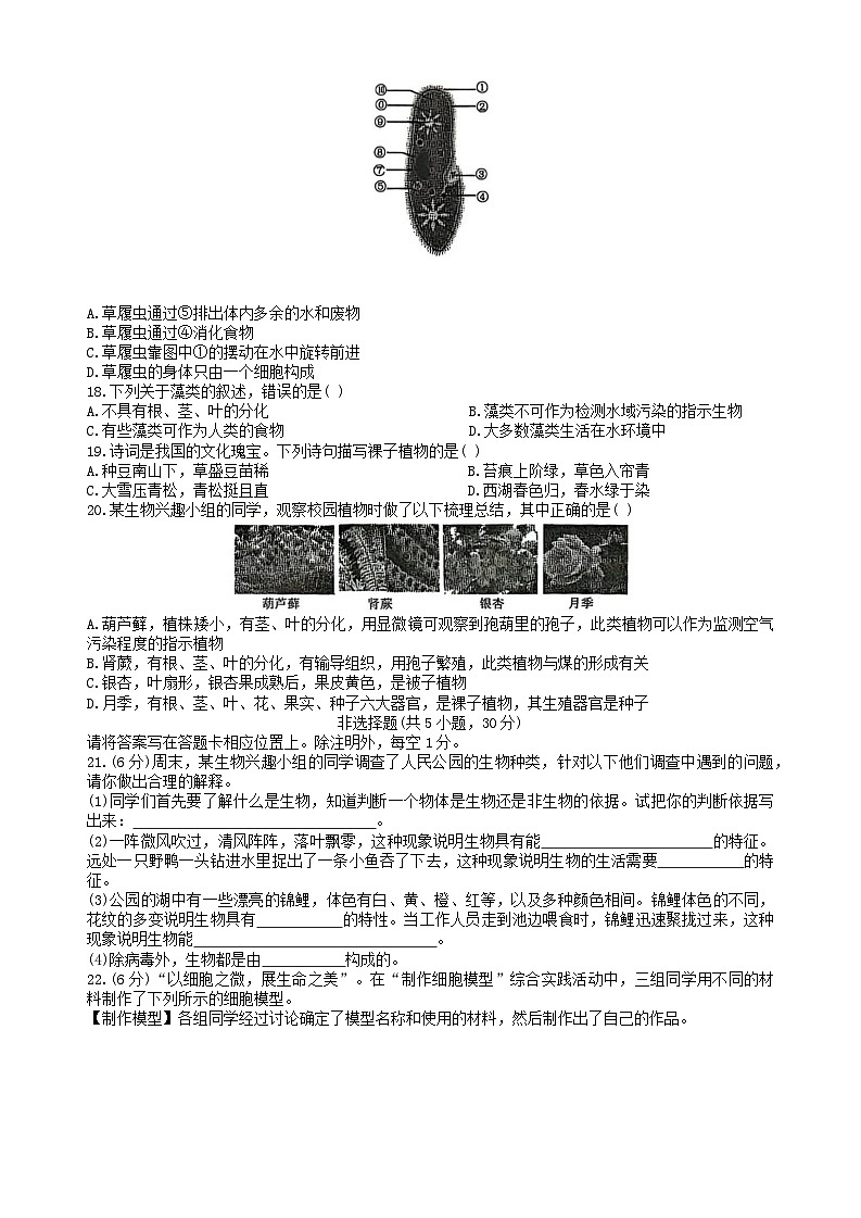河南省驻马店市平舆县2025-2026学年七年级上学期期中测试 生物试题第3页