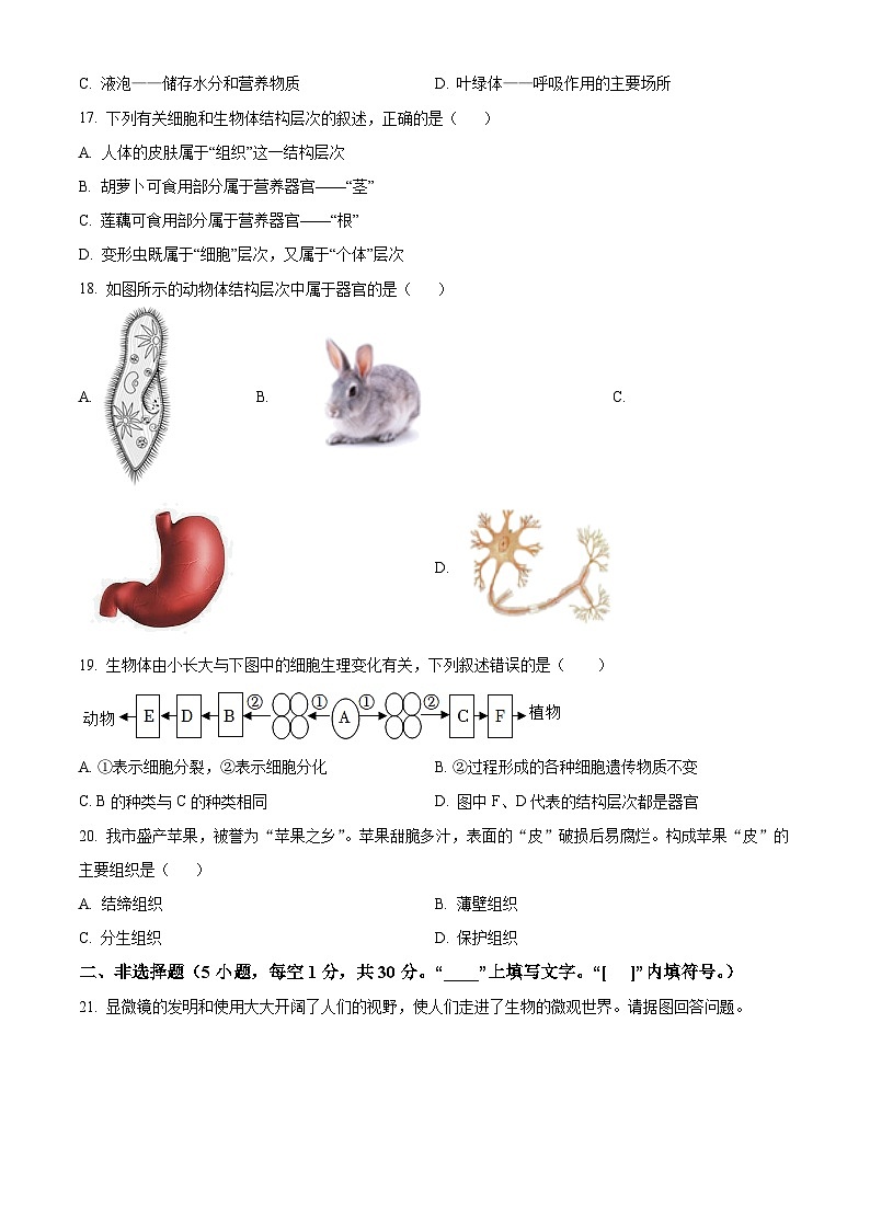 河南省驻马店市西平县2025-2026学年七年级上学期期中 生物试题第3页