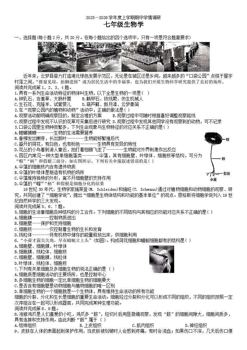 湖北省孝感市云梦县2025-2026学年七年级上学期11月期中 生物试题第1页