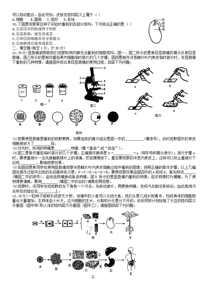 湖北省孝感市云梦县2025-2026学年七年级上学期11月期中 生物试题第2页