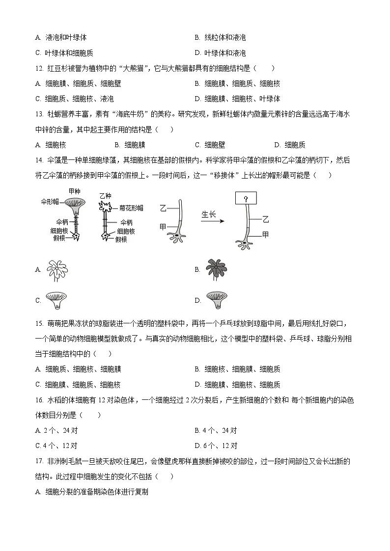 湖南省衡阳市四校2025-2026学年七年级上学期期中 生物学试题第3页