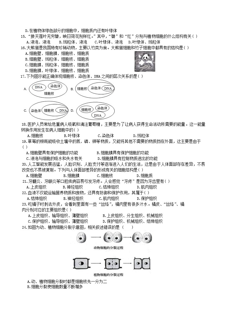 湖南省长沙市岳麓区部分学校2025-2026学年七年级上学期11月期中 生物试题第2页