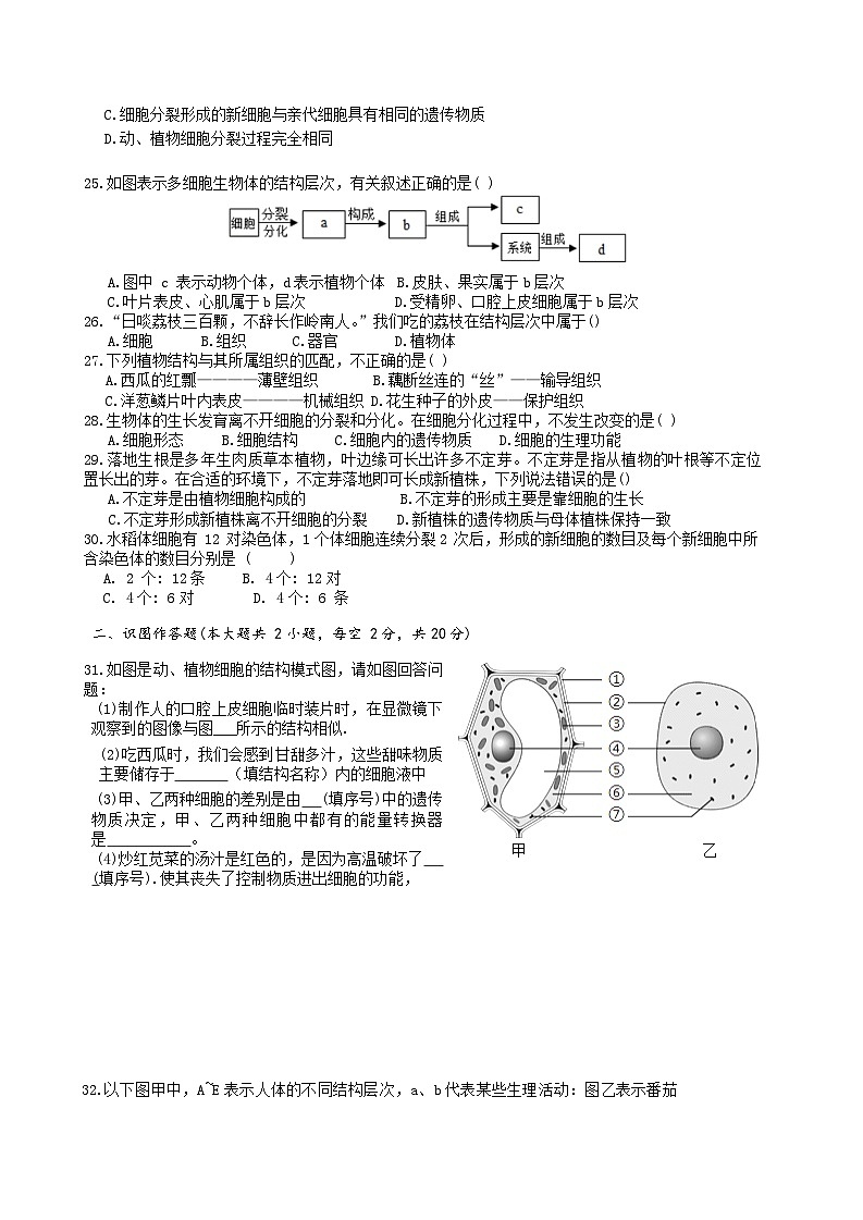 湖南省长沙市岳麓区部分学校2025-2026学年七年级上学期11月期中 生物试题第3页