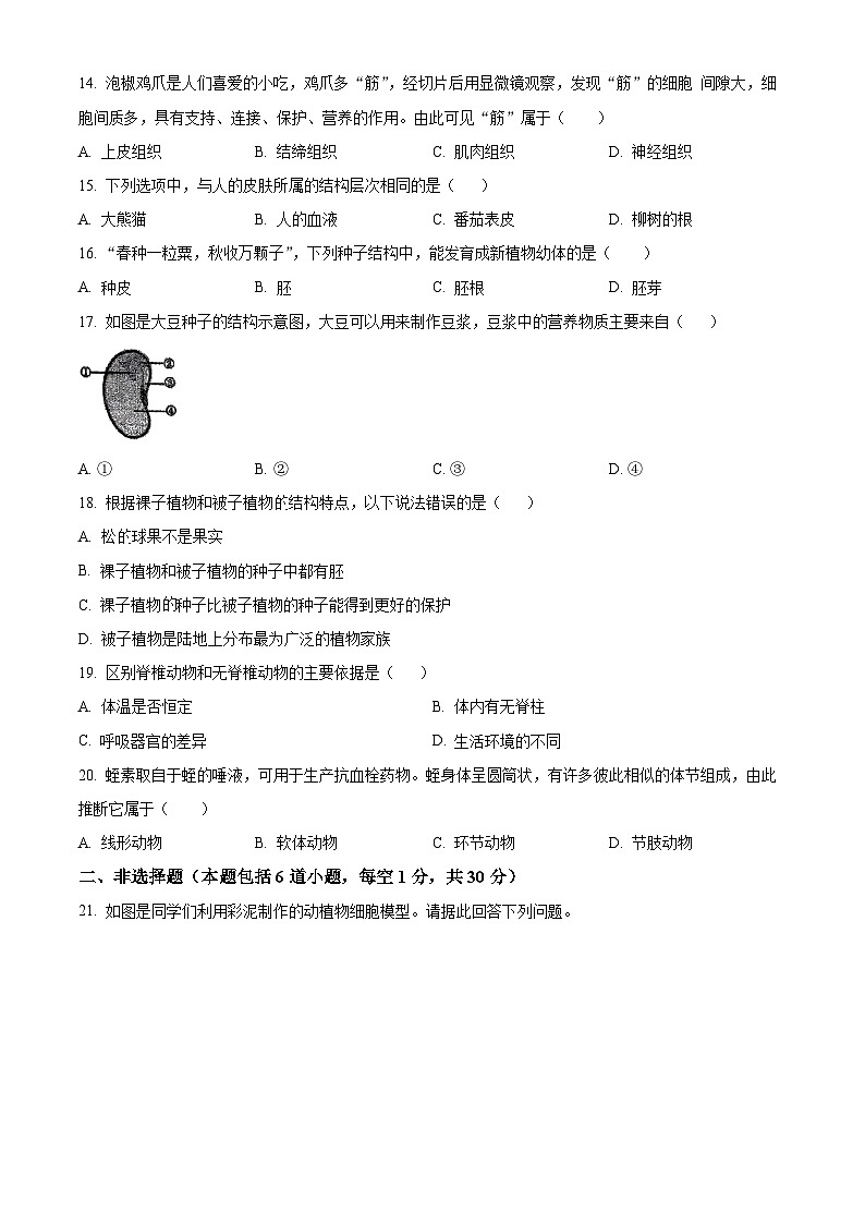 吉林省第二实验学校教育集团2025-2026学年七年级上学期期中 生物学试题第3页