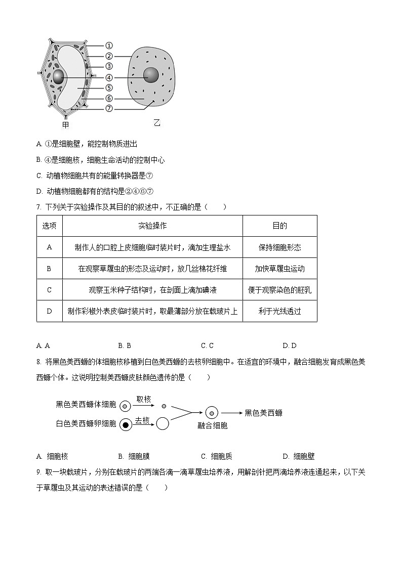 吉林省长春市汽车经济技术开发区长沈路学校2025-2026学年七年级上学期期中 生物试题第2页