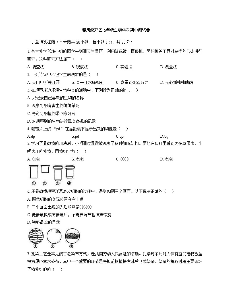 江西省赣州市经开区2025-2026学年七年级上学期期中考试 生物试题第1页